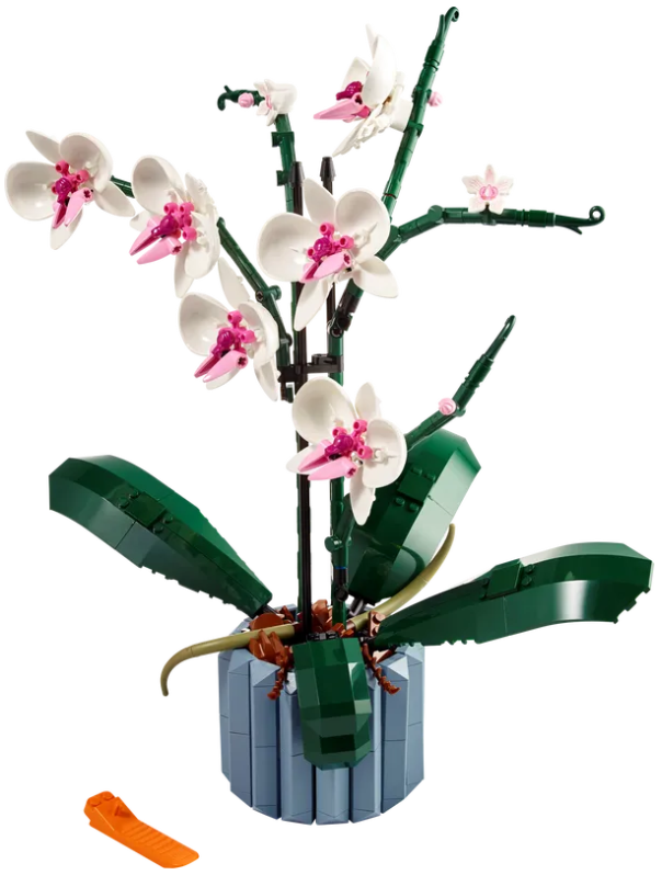 LEGO 10311 Orchidee